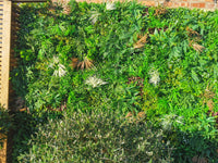 Artificial Deluxe Green Wall (100x100cm) - Year-Round Lush Greenery for UK Gardens & Events - No Upkeep!