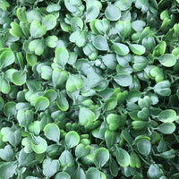 Flame Resistant Artificial Boxwood Hedge Panel 50x50cm – Realistic Faux Greenery for Indoor & Outdoor Walls, Gardens, Balconies - Cherish Home