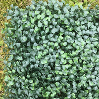 Flame Resistant Artificial Boxwood Hedge Panel 50x50cm – Realistic Faux Greenery for Indoor & Outdoor Walls, Gardens, Balconies - Cherish Home