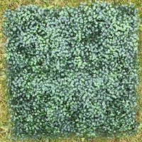 Flame Resistant Artificial Boxwood Hedge Panel 50x50cm – Realistic Faux Greenery for Indoor & Outdoor Walls, Gardens, Balconies - Cherish Home