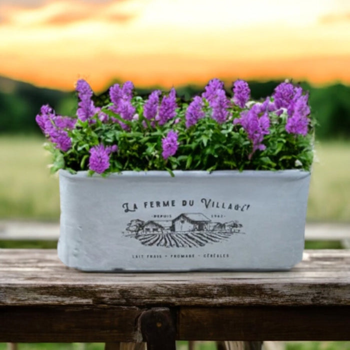 Rammento 37cm Zinc Trough Flower Plant Pot with Handles - Cherish Home