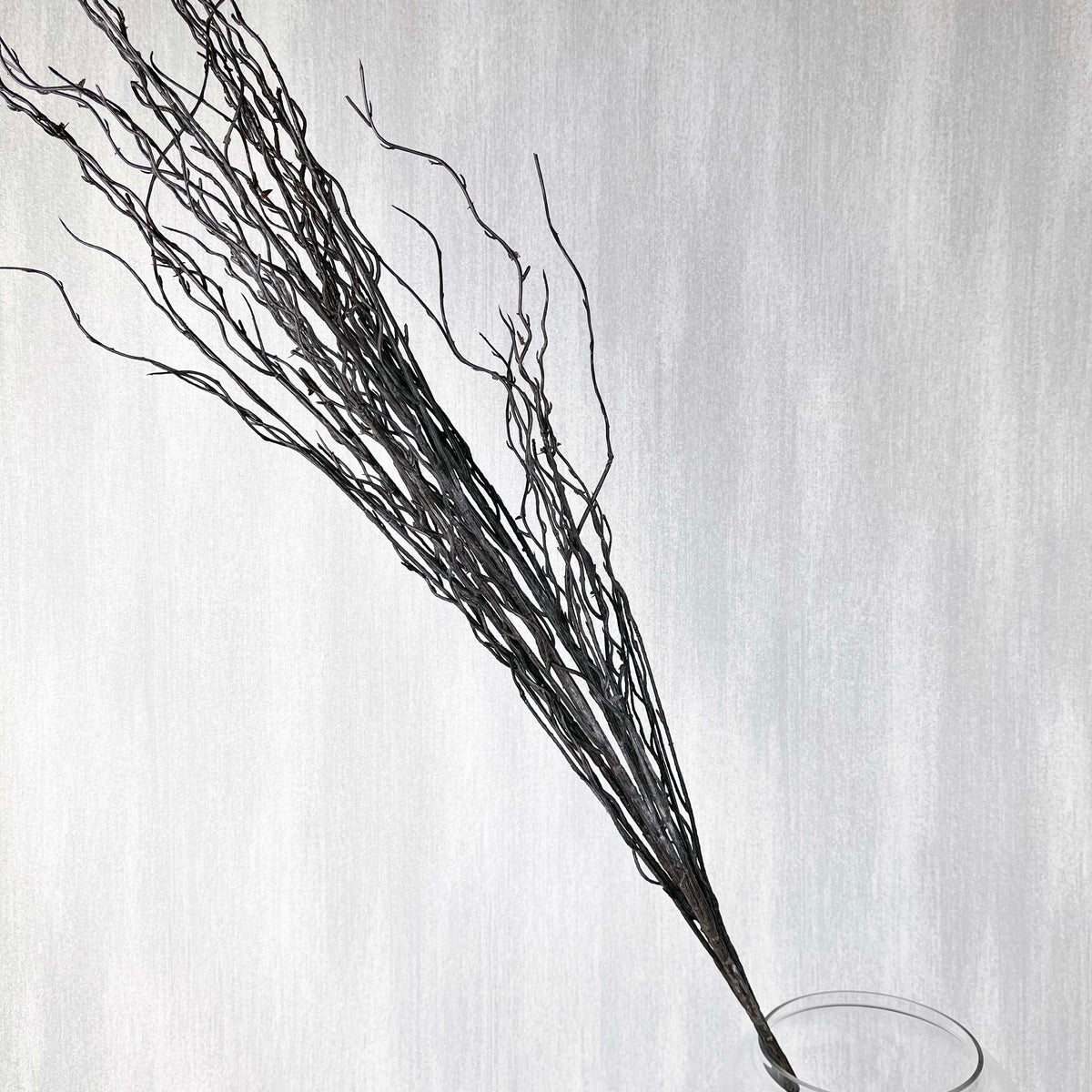 Branch spray