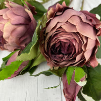 Dusty Pink Spray Rose Peony close up.