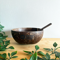 Real Coconut Shell Brown Bowls with Wooden Spoons Set