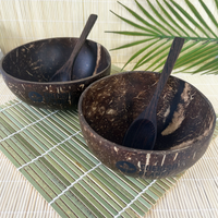 Real Coconut Shell Brown Bowls with Wooden Spoons Set
