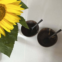 Real Coconut Shell Brown Bowls with Wooden Spoons Set