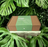 Coffee-Lovers Eco Gift Box - Cherish Home