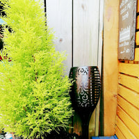 Flame Effect Solar Powered Garden Light in planter