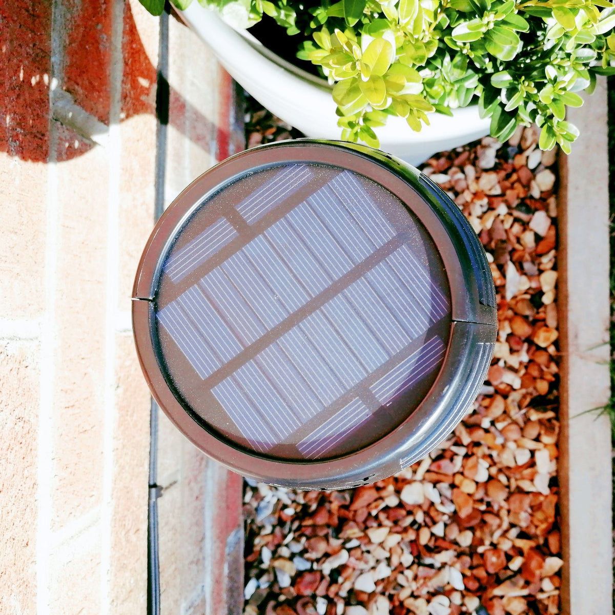 Flame Effect Solar Powered Garden Light top view