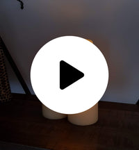 https://youtu.be/eUdZ9UgAJaA