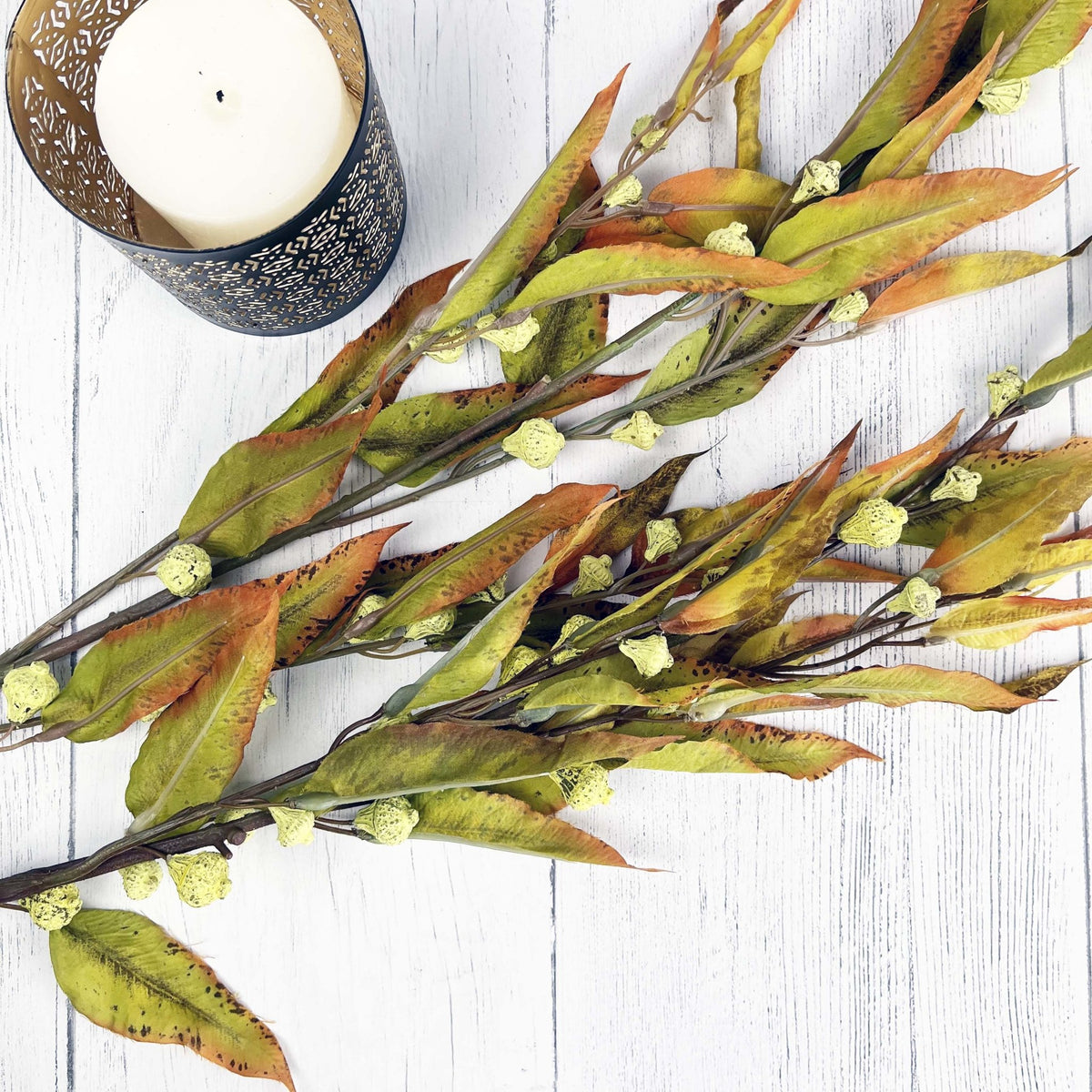 Silver Bell Autumn Eucalyptus