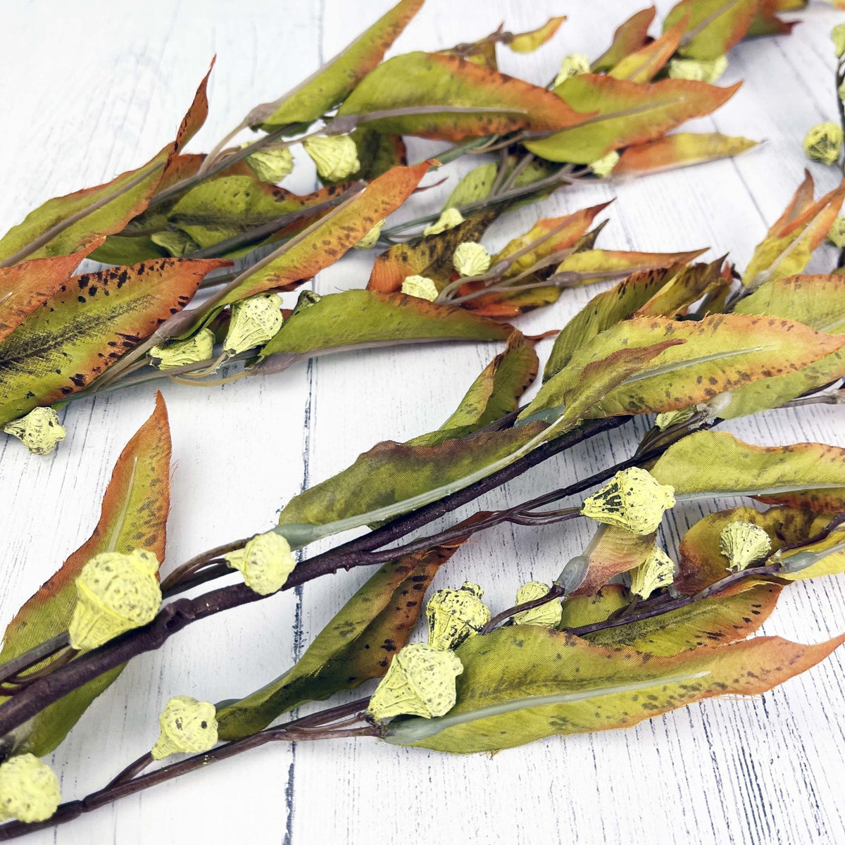 Silver Bell Autumn Eucalyptus