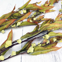 Silver Bell Autumn Eucalyptus