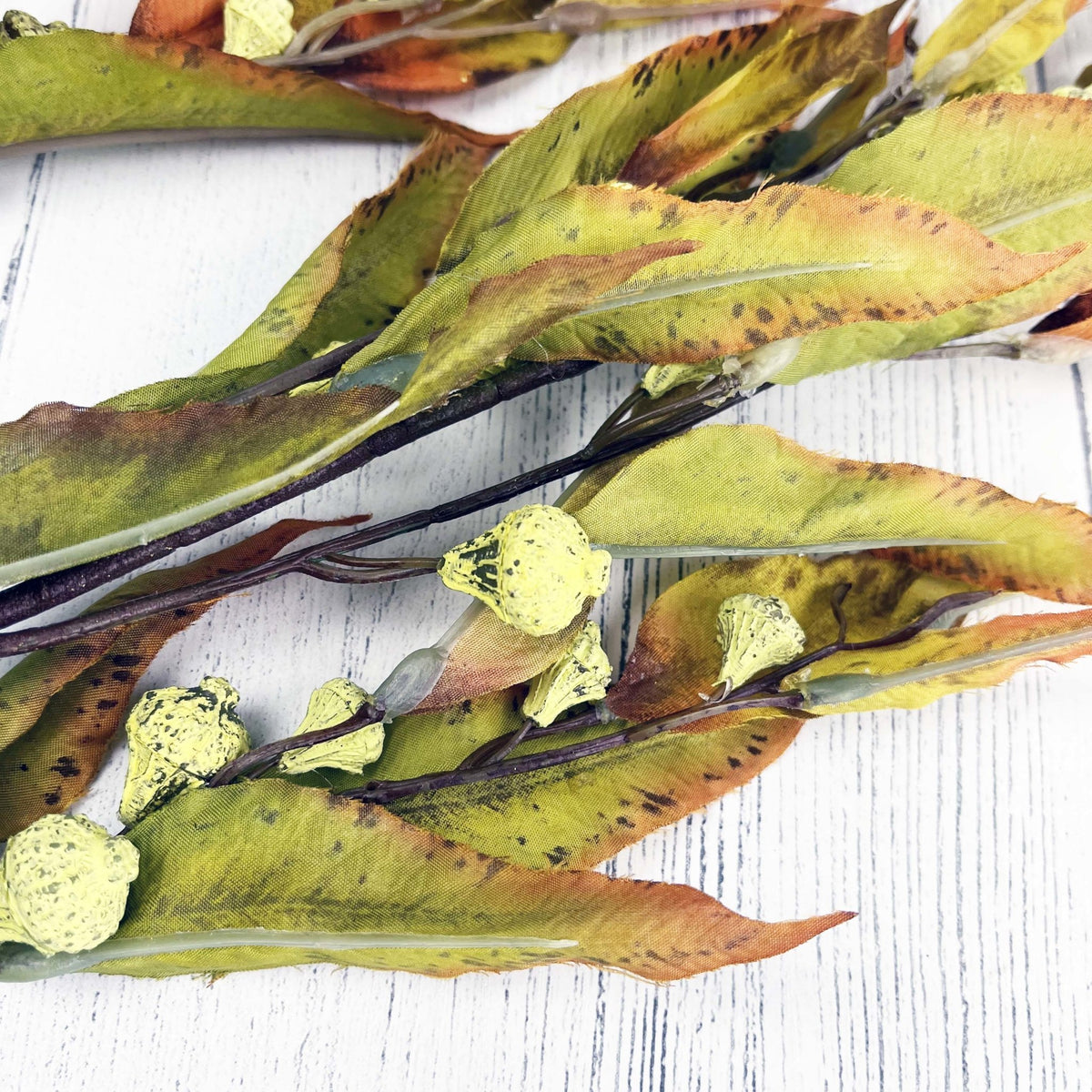Silver Bell Autumn Eucalyptus Detail Bud