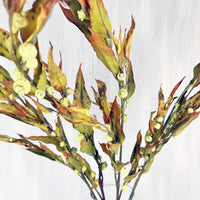 Silver Bell Autumn Eucalyptus Close Up