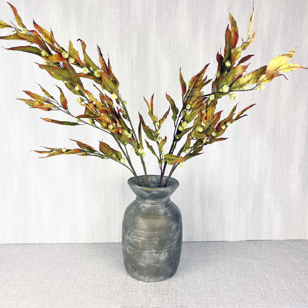 Silver Bell Autumn Eucalyptus in Stone Pot