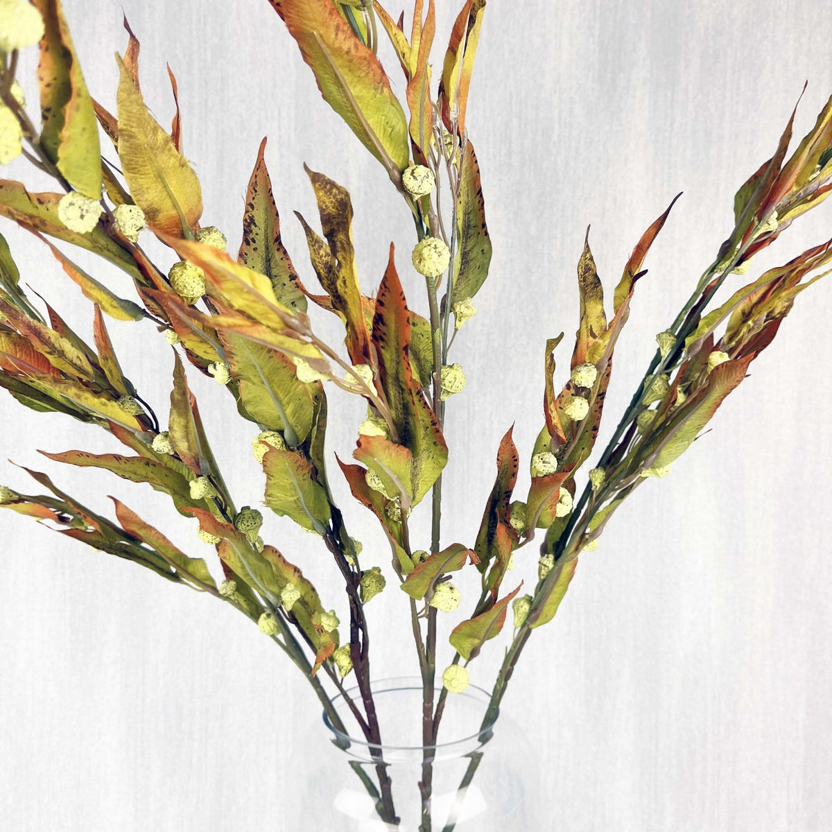 Silver Bell Autumn Eucalyptus in vase