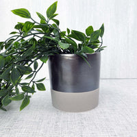 Terra Grey Metallic Style Planter medium with green leafy plant