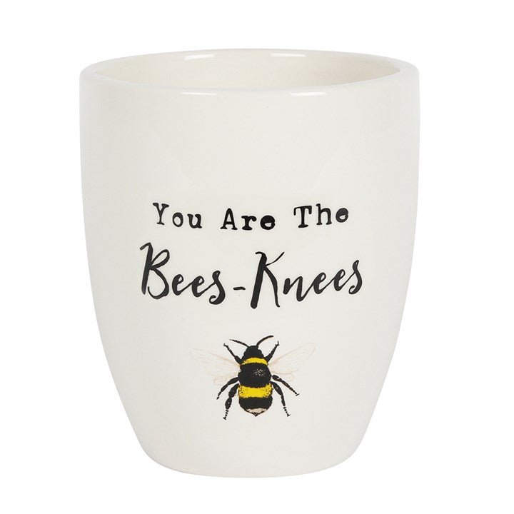 The Bees Knees White Ceramic Plant Pot with Bee Design – Cherish Home