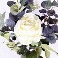 Traditional White Rose close up.