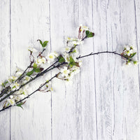 White Cherry Blossom Spray on white background