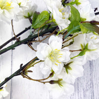 White Cherry Blossom Spray close up