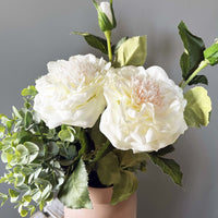 White Garden Rose Spray close up in a blush pink vase