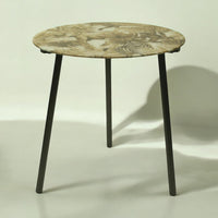 40cm Round Side Table Glass Safari Print Tray Top 3 Metal Legs Tea Coffee Table - Cherish Home