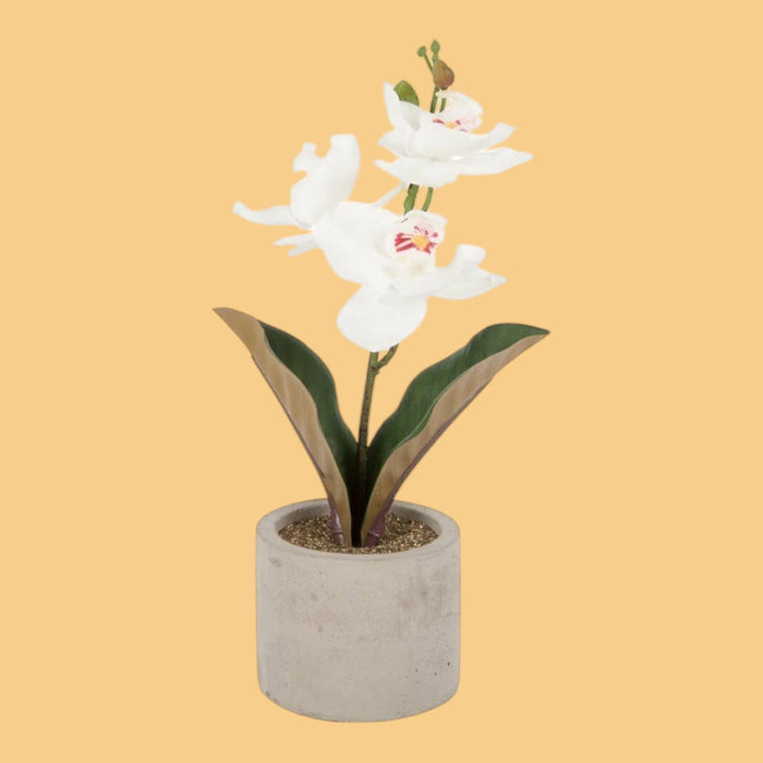 Artificial White Orchid In Grey Pot Ideal Gift 30cm Artificial Orchid Decorative - Cherish Home