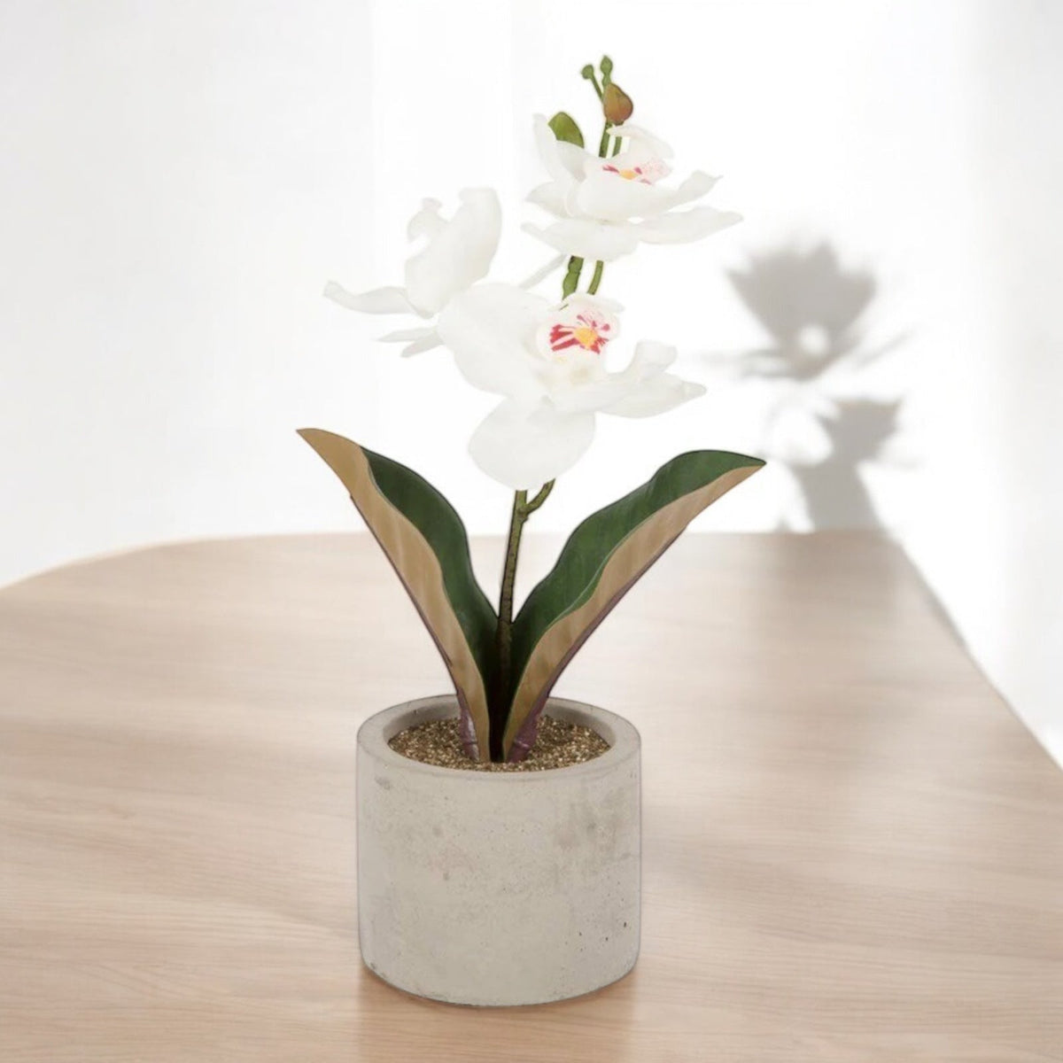 Artificial White Orchid In Grey Pot Ideal Gift 30cm Artificial Orchid Decorative - Cherish Home