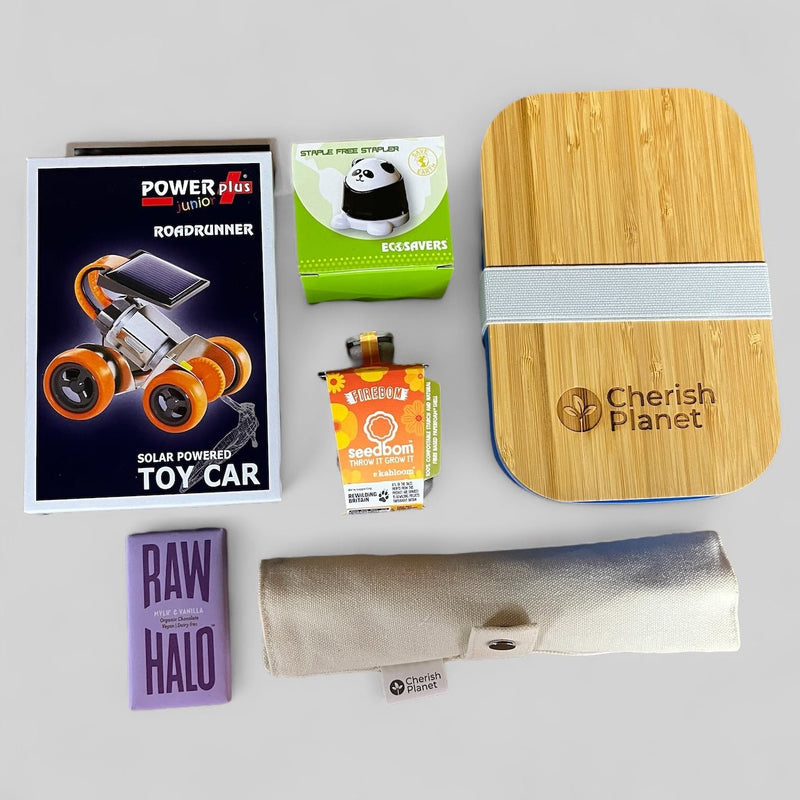 Childrens Eco Lunch Gift Box - Cherish Home