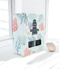 Coastal Shores DIY Candle Making Kit, create 2 Seasalt Scented Candles for Home Decor & Gifts - Cherish Home