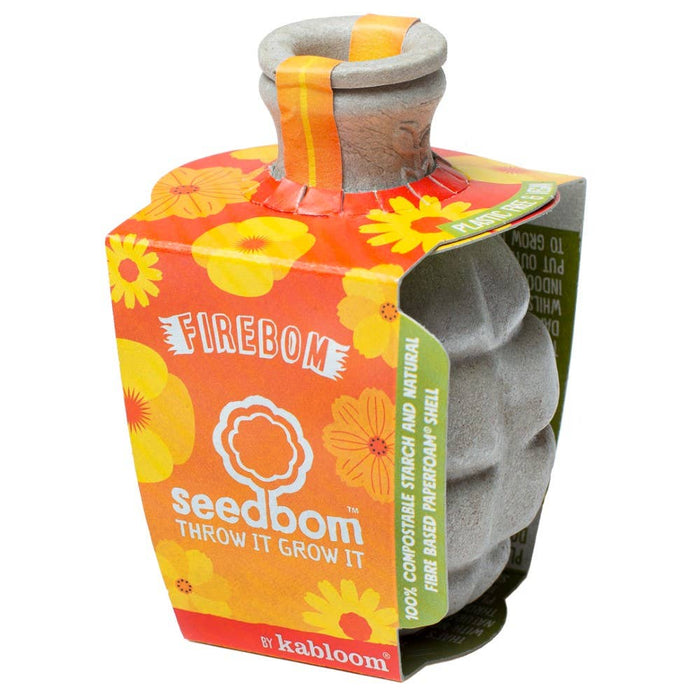Firebom Seedbom - Bulk Box (Save 5%) - Cherish Home