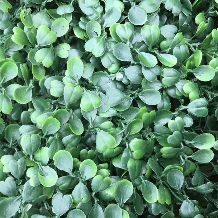 Flame Resistant Artificial Boxwood Hedge Panel 50x50cm – Realistic Faux Greenery for Indoor & Outdoor Walls, Gardens, Balconies - Cherish Home