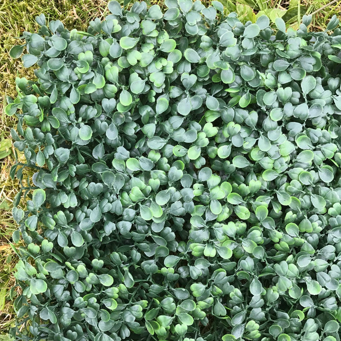 Flame Resistant Artificial Boxwood Hedge Panel 50x50cm – Realistic Faux Greenery for Indoor & Outdoor Walls, Gardens, Balconies - Cherish Home