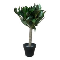 Medium Faux Bay Tree - Cherish Home