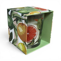Orange Zest Scented Candle in box - Cherish Home