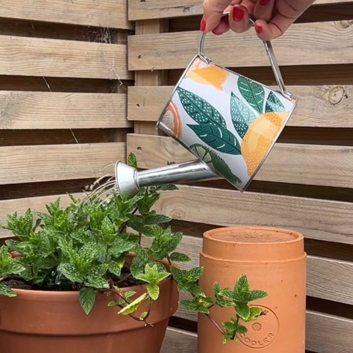 Orange Zest Watering Can Garden Accessory indoor outdoor - Cherish Home