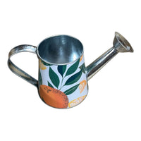 Orange Zest Watering Can Garden Accessory indoor outdoor - Cherish Home