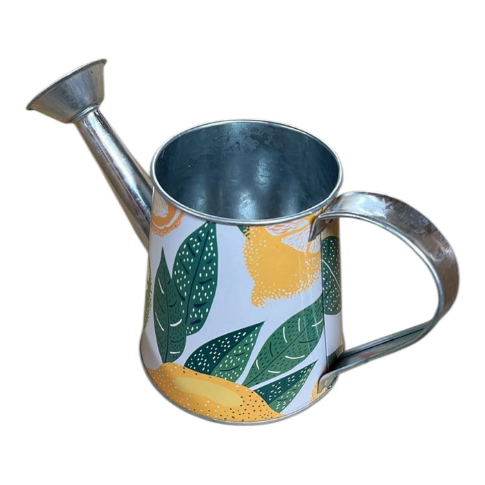 Orange Zest Watering Can Garden Accessory indoor outdoor - Cherish Home