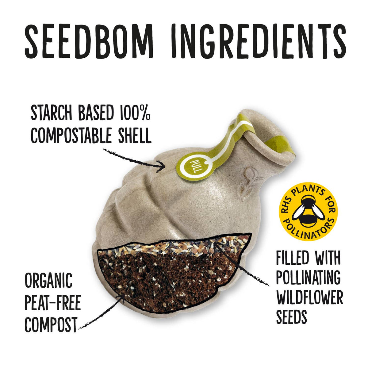 Pollinator Beebom Seedbom - CDU Pack - Cherish Home