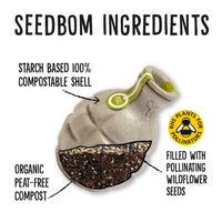 Pollinator Beebom Seedbom - CDU Pack - Cherish Home