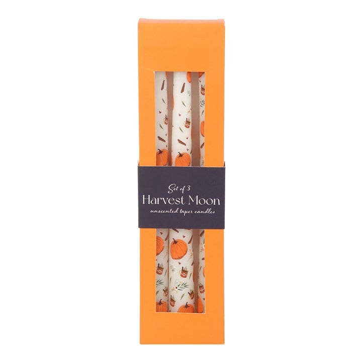 Pumpkin Taper Candles - Set of 3 Autumn Harvest Decorative Candles for Seasonal Table Decor - Cherish Home