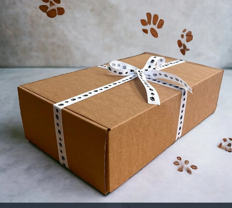 Ready - To - Go Luxury Dog Box - Cherish Home