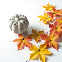 Small Halloween LED Light - up Ceramic White Pumpkin 8cm - Cherish Home