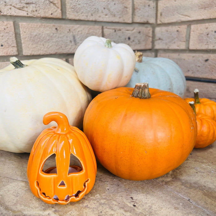 Small Orange Carved Pumpkin Lantern with tealight - Cherish Home