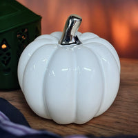 Small White Pumpkin Ornament with silver stalk - Cherish Home