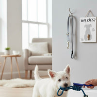 The "Fetch & Freshen" Dog Gift Box - Cherish Home