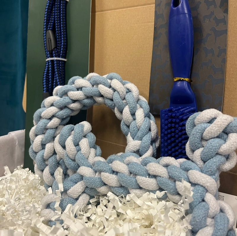 Welcome Home Puppy Kit Blue or Pink Puppy Toys and Accessories - Cherish Home