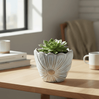 White Daisy Flower Vase 10cm - Cherish Home